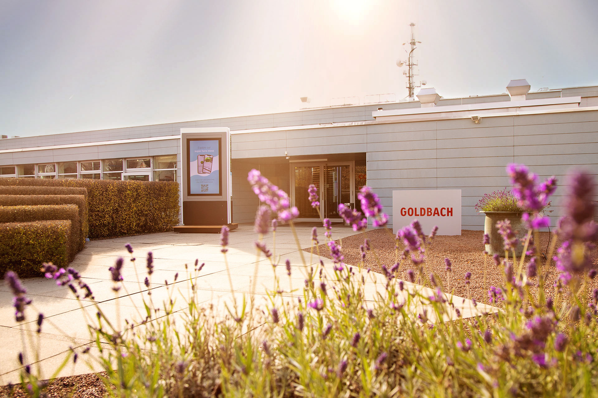 City Breeze_01_neu_01