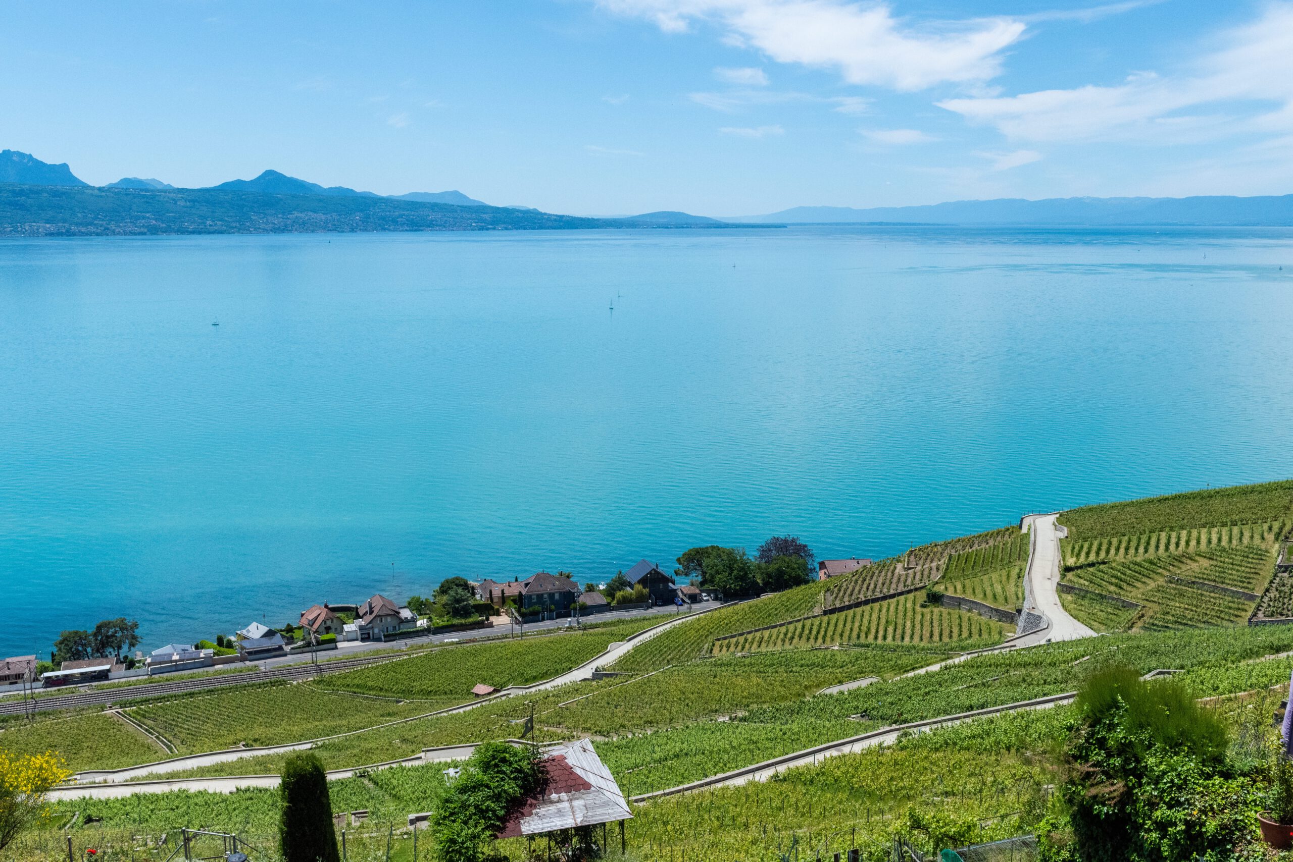 Image of Lake Geneva overlooking the vineyards in front of Lausanne.